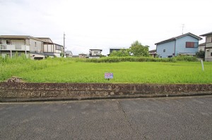 (外観) (外観)