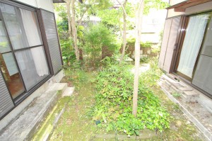 中庭