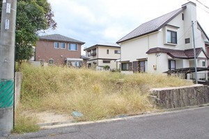 (外観) (外観)