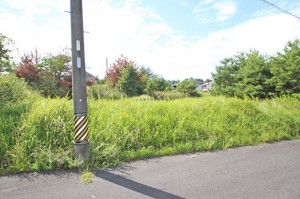 (外観)