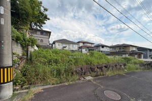 (外観)