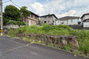 (外観)