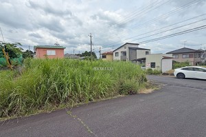 (外観)