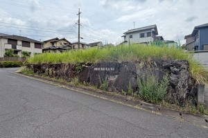 (外観)