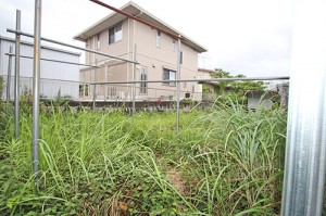 裏庭(外観)